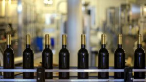 Conheça os diferentes métodos de produção de vinho