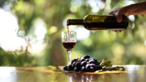 Vinhos naturais, orgânicos e biodinâmicos: entenda as diferenças